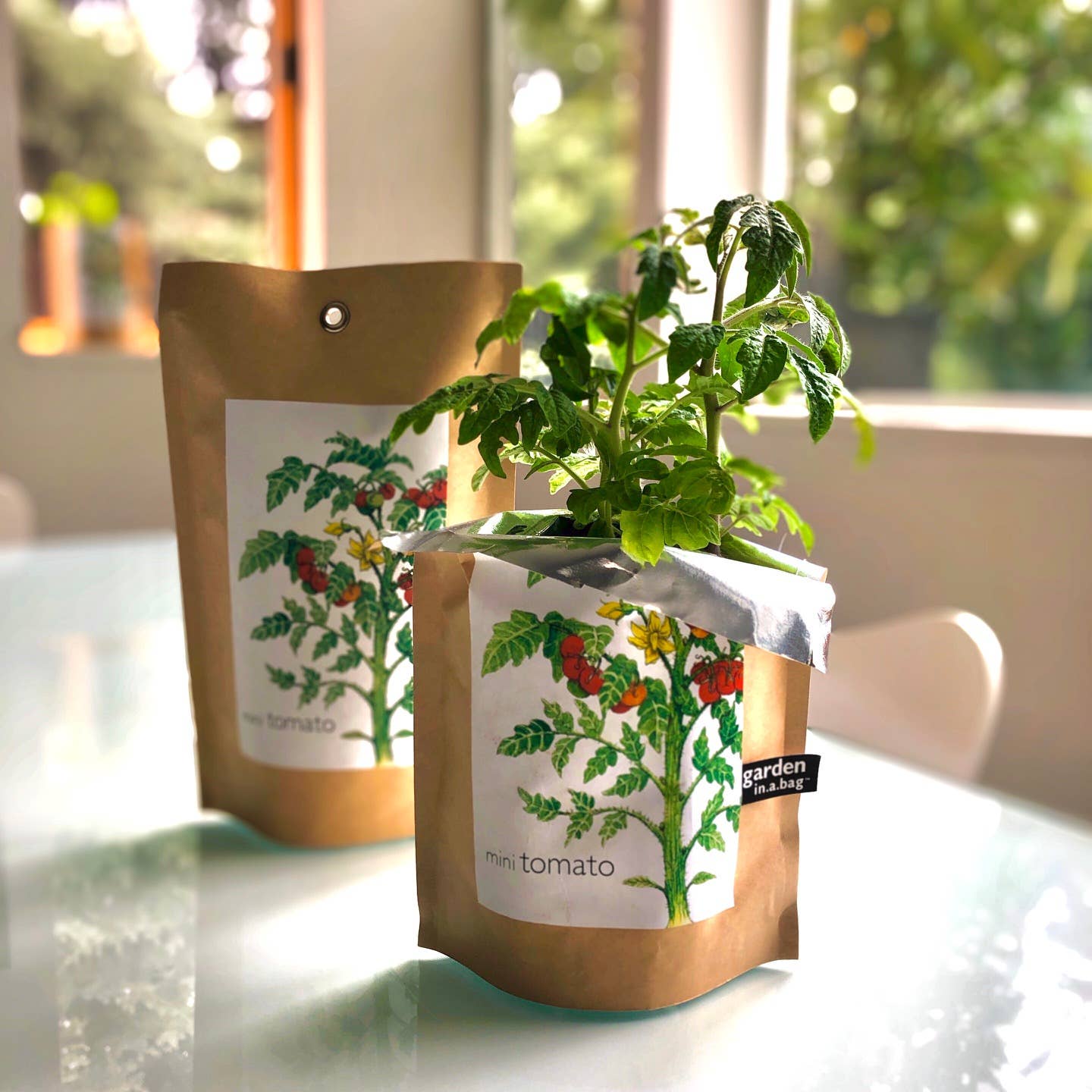 Garden in a Bag | Tomato | Great gift for cooks