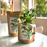 Garden in a Bag | Tomato | Great gift for cooks