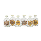 Set of 6 Painted Apothecary Bottles