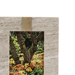 Framed photograph of a garden with trees and colorful flowers on a textured beige background