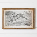 Framed Print - Leaping Rabbit (PC)