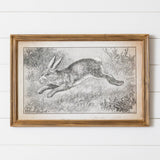 Framed Print - Leaping Rabbit (PC)