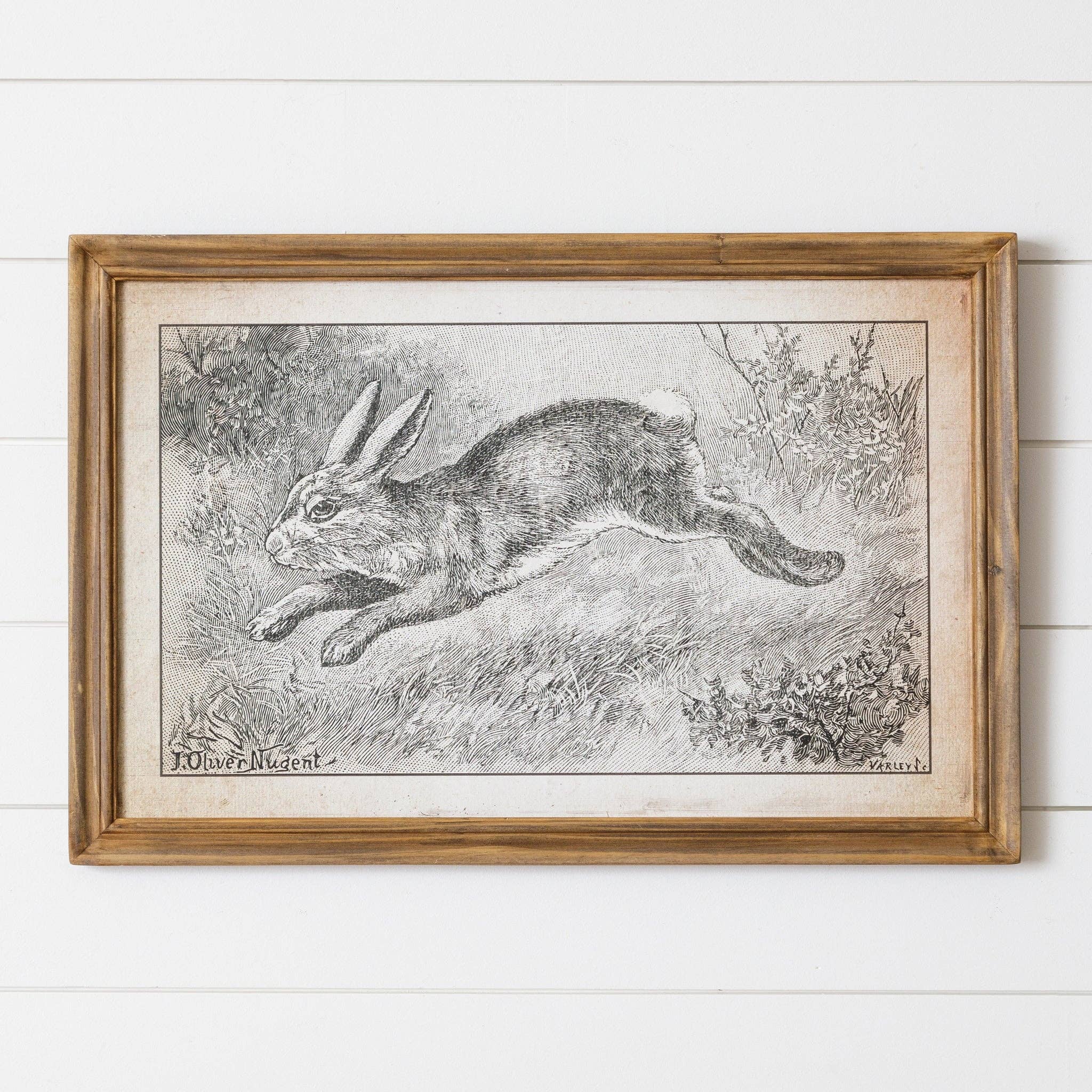 Framed Print - Leaping Rabbit (PC)