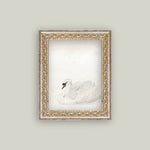 Swan Framed Antique Art