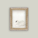 Swan Framed Antique Art
