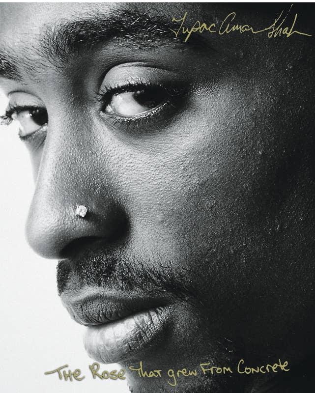 Rose That Grew From Concrete by Tupac   Shakur