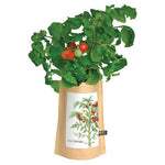 Garden in a Bag | Tomato | Great gift for cooks