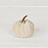 6 velvet 2in pumpkins with gold stem
