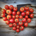 Garden in a Bag | Tomato | Great gift for cooks