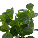 Traditional Green Faux Foliage Artificial Plant