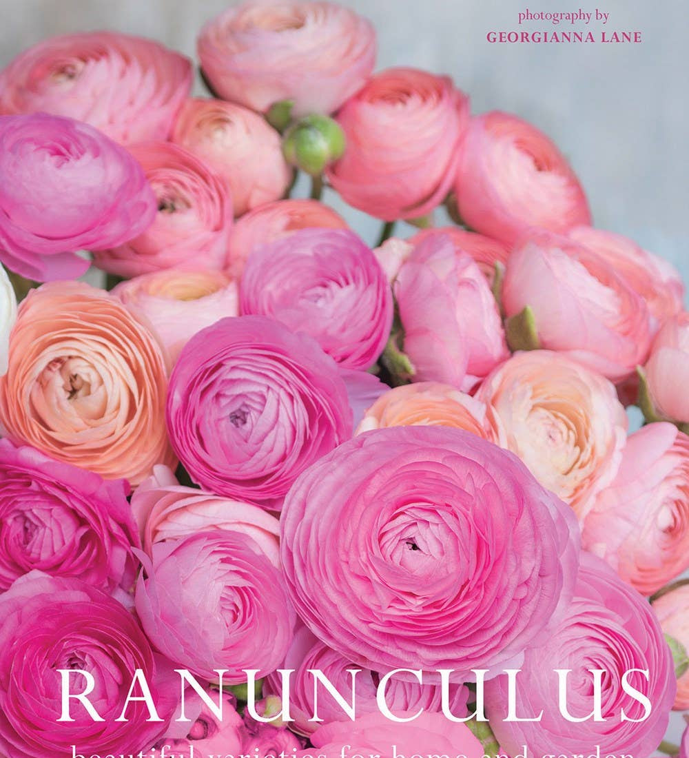 Ranunculus: Beautiful varieties for home and garden