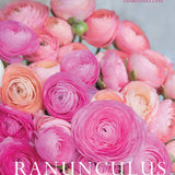 Ranunculus: Beautiful varieties for home and garden