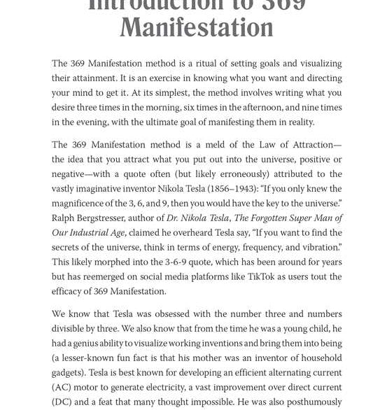 369 Manifestation Journal by Berni Johnson