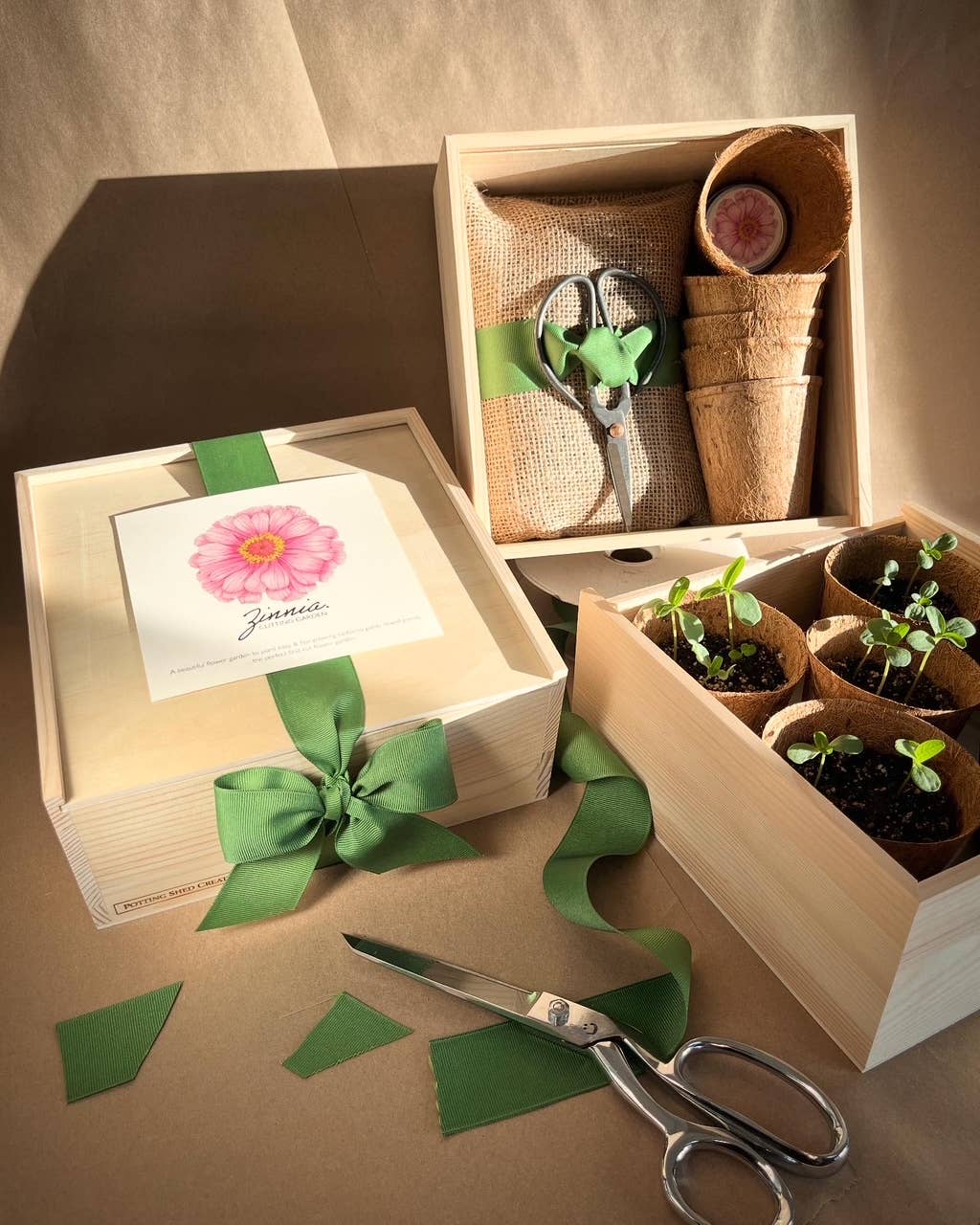 NEW Flower Cutting Garden Box | Spring | Mother's Day