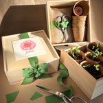 NEW Flower Cutting Garden Box | Spring | Mother's Day