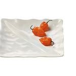 Formoso Divided Dish  - White