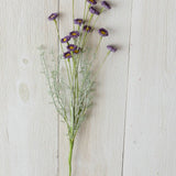 Pick - Mini Purple Button Mum