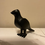 Black Raven