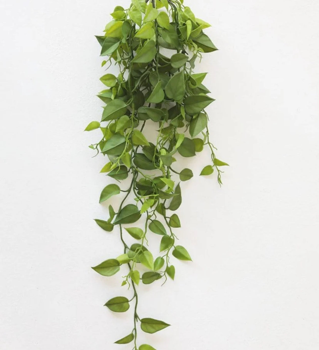 Faux Philo Bush