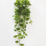 Faux Philo Bush