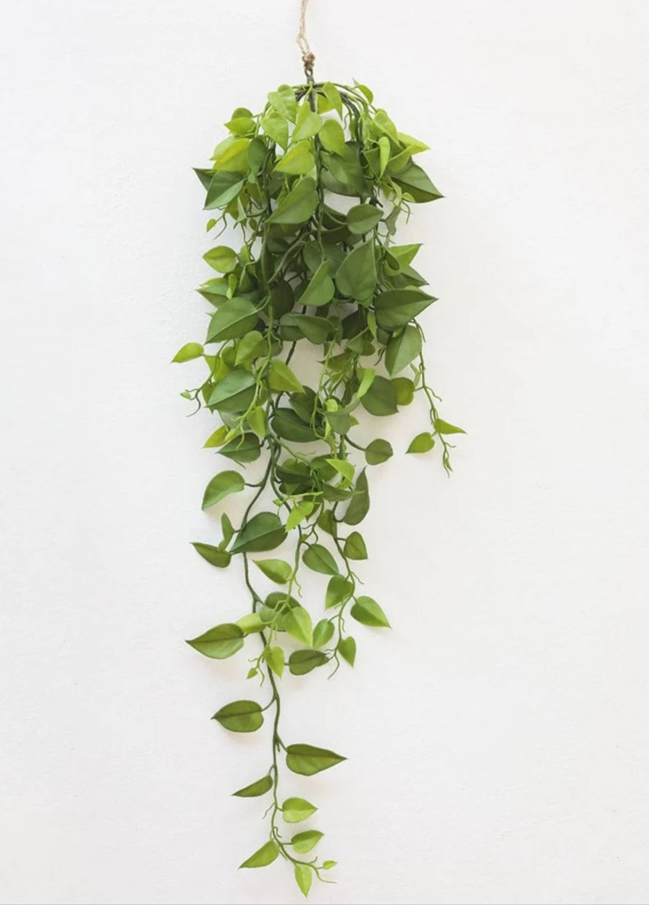 Faux Philo Bush