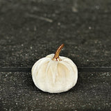 6 velvet 2in pumpkins with gold stem