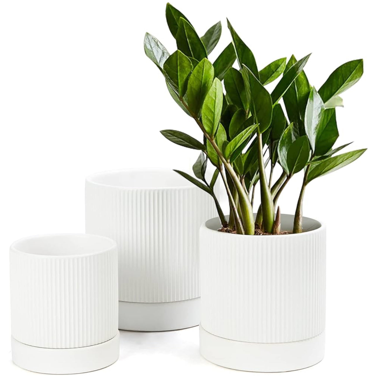 White Modern Plant Pot Small