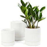 White Modern Plant Pot Small