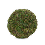 Round Moss Ball