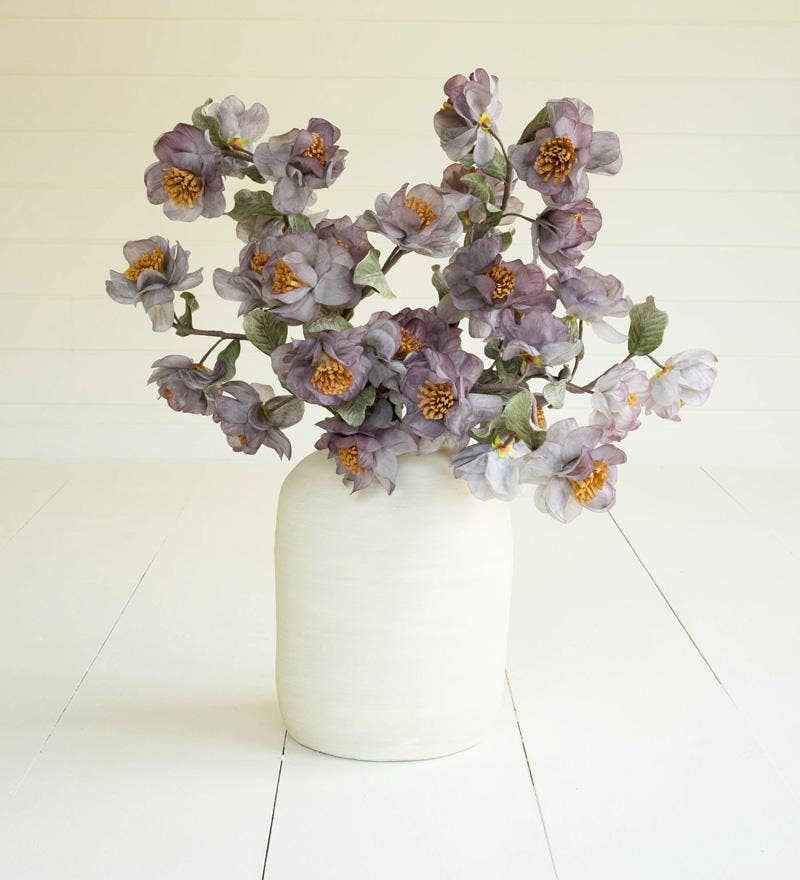 BOTANICA #3423 - CLX3423
