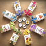 Scatter Garden | Hummingbird | Best Seller | Bird lovers
