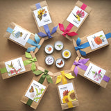 Scatter Garden | Hummingbird | Best Seller | Bird lovers