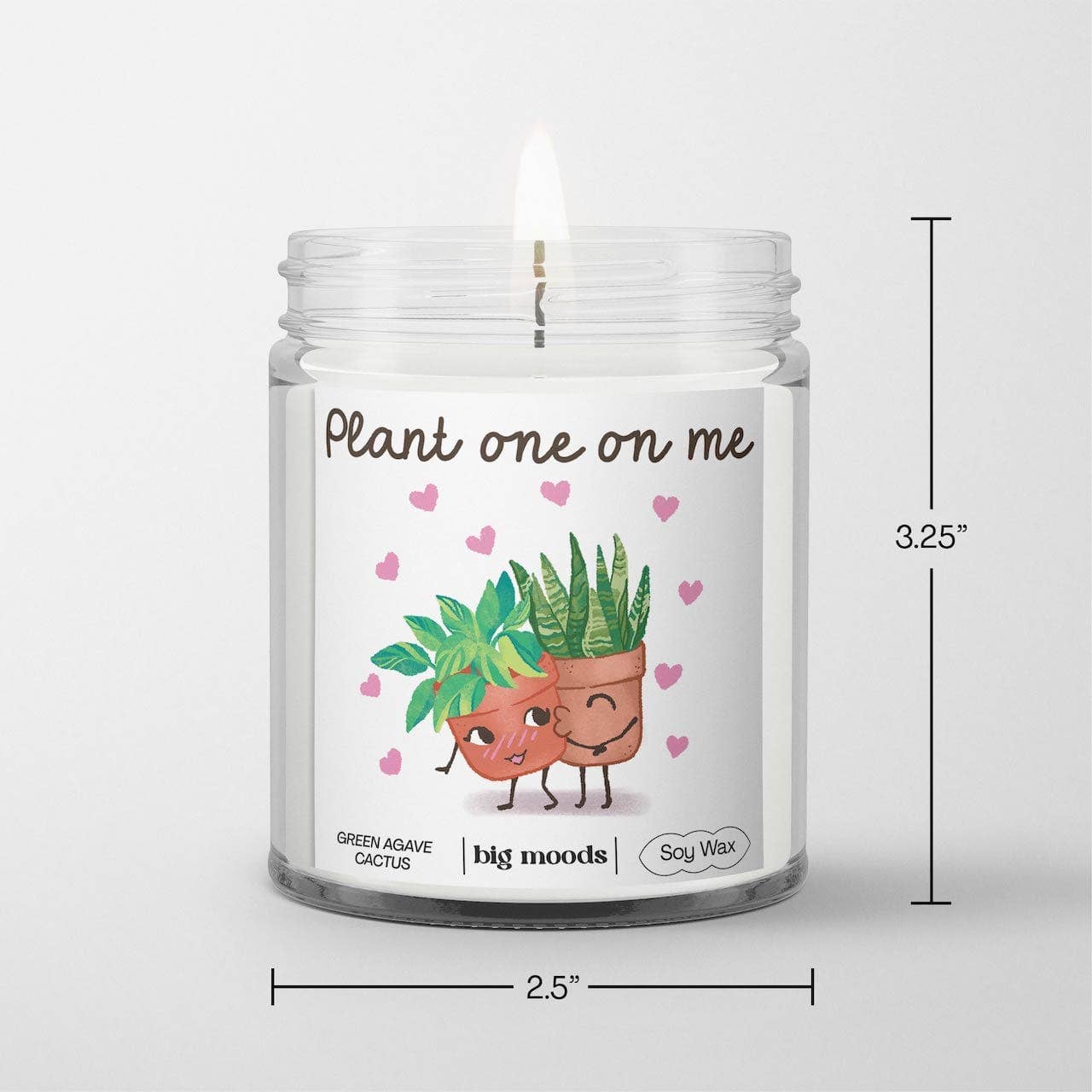 "Plant One On Me" Green Agave Cactus  - 5oz Soy Candle