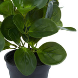 Traditional Green Faux Foliage Artificial Plant
