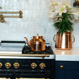 Copper Planter