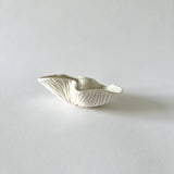 Shell Dish