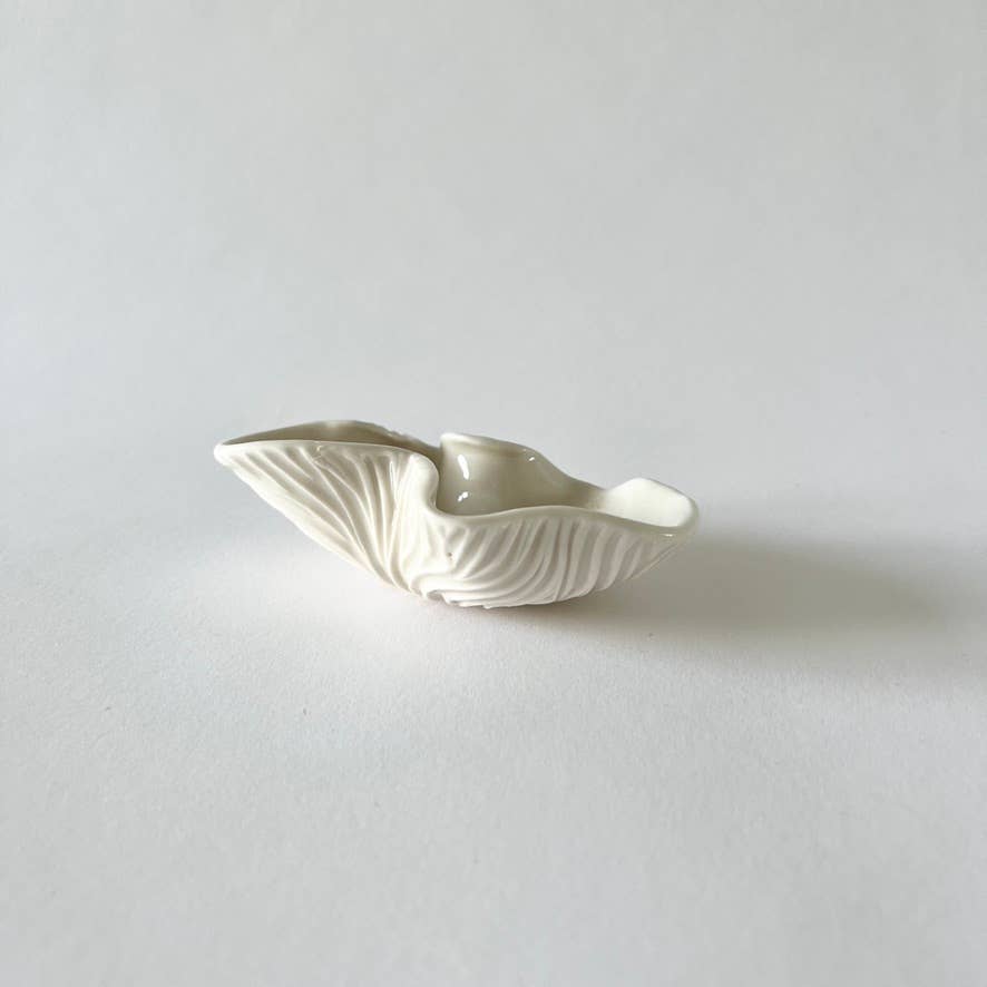Shell Dish