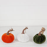 4in velvet pumpkin w. golden stem-Green