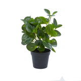 Traditional Green Faux Foliage Artificial Plant