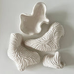 Shell Dish