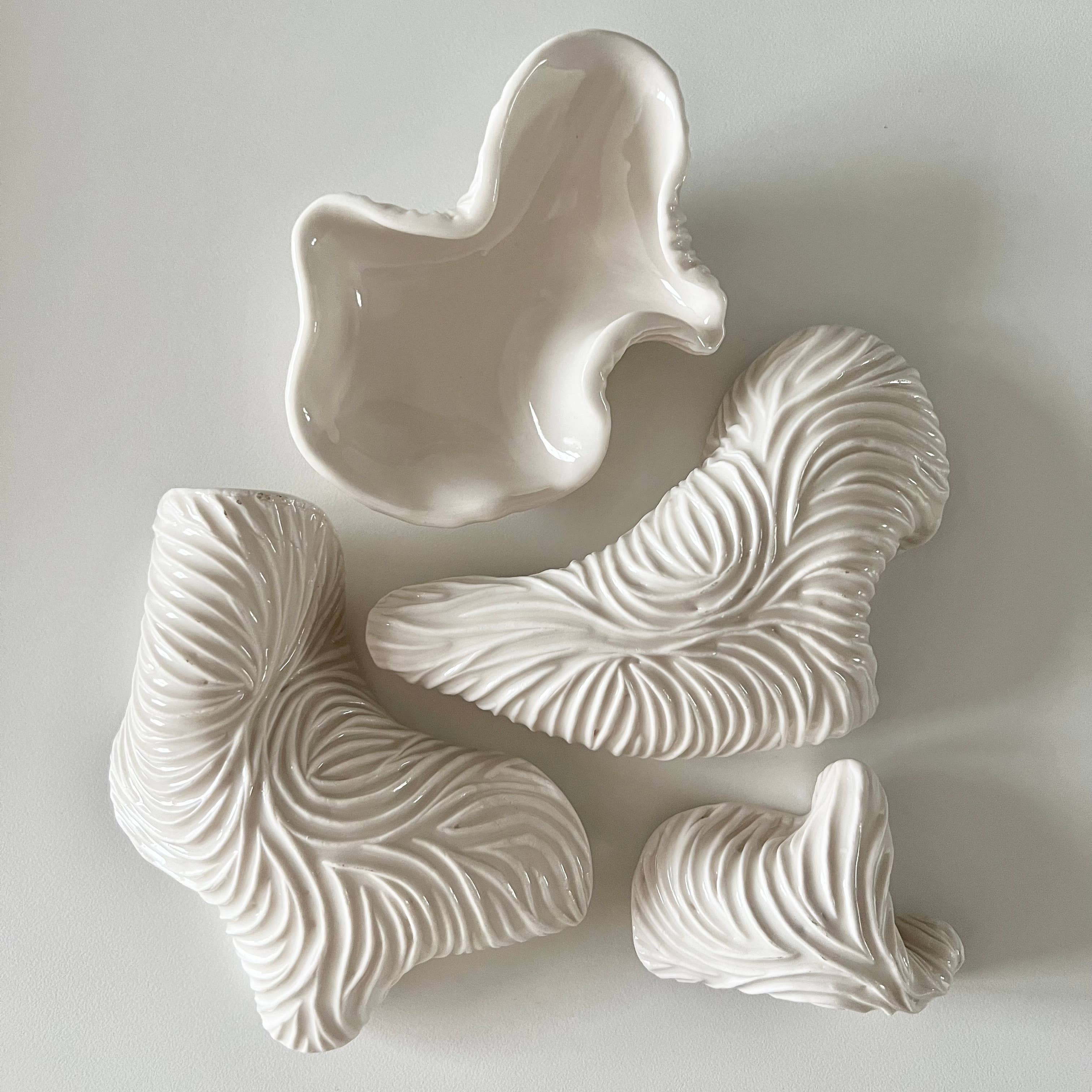 Shell Dish