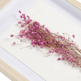 Fresh Flowers Floral Shadowbox Wall Art Decor
