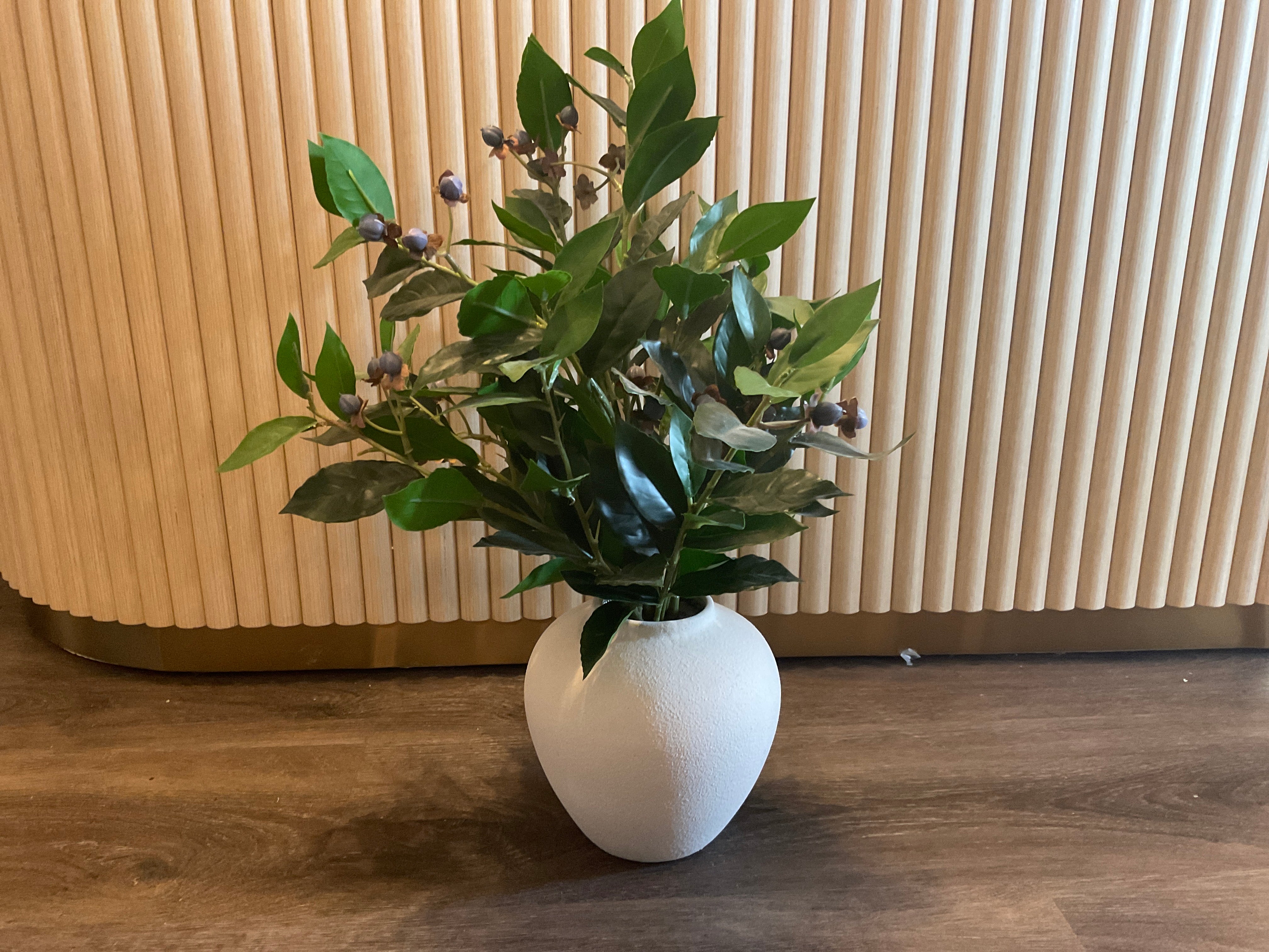 Berry Plant in Pot