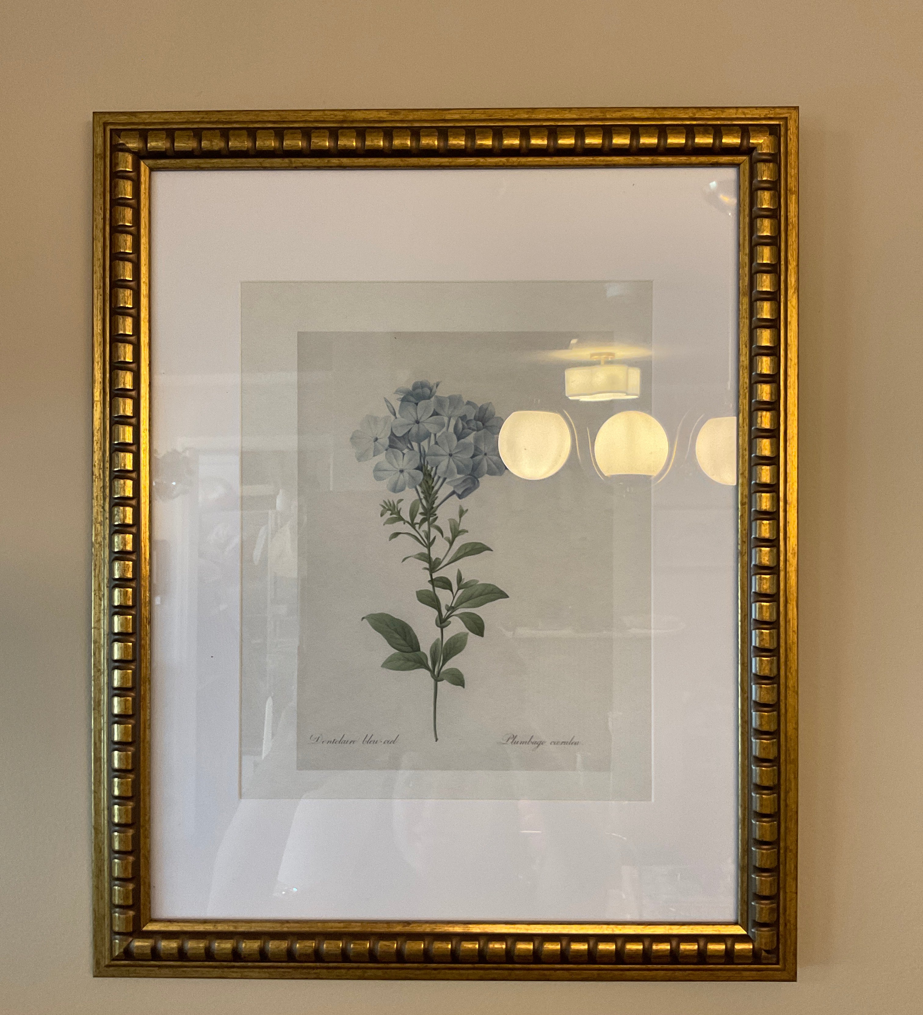 Framed Hydrangeas Print 13x16