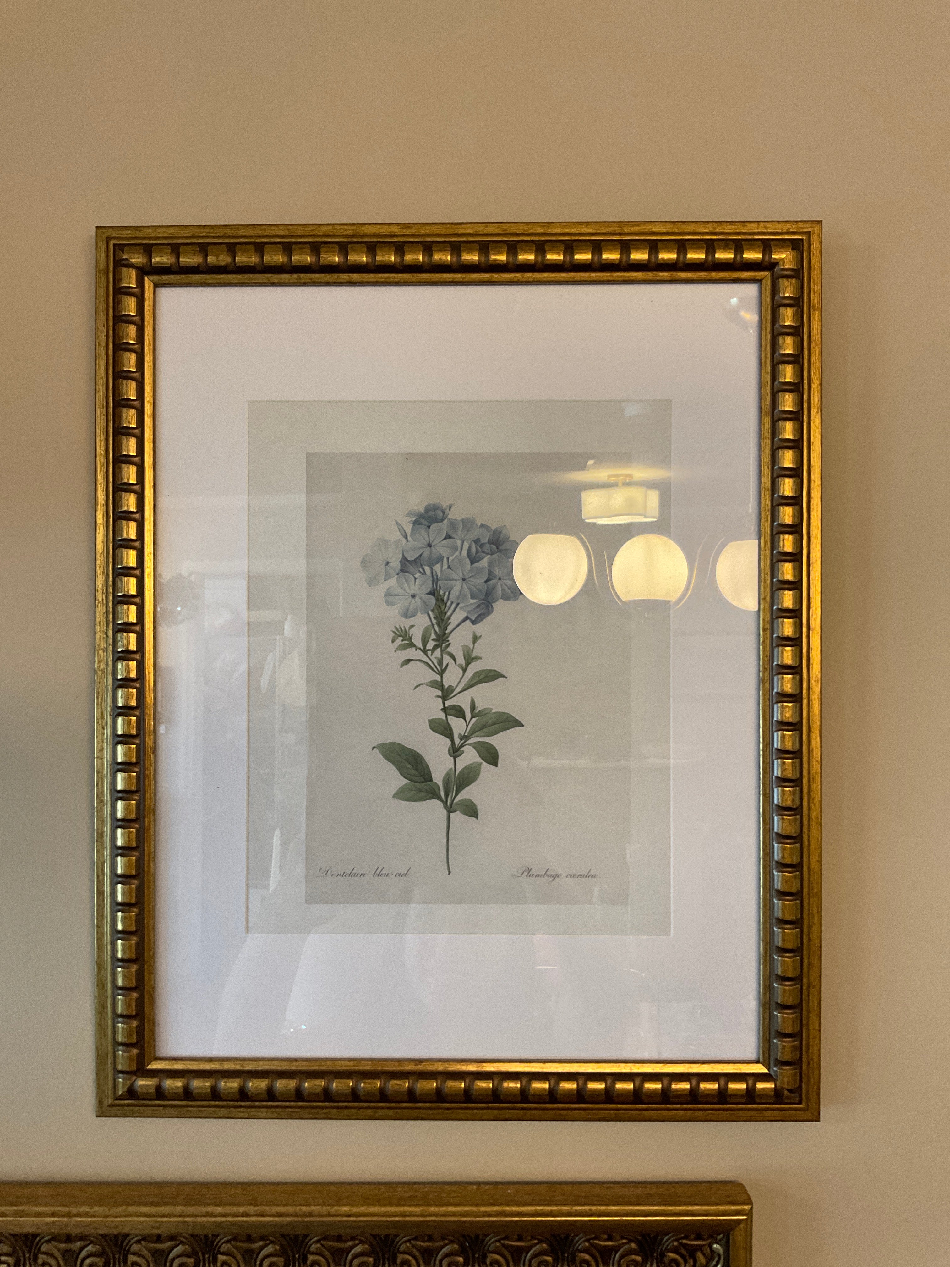 Framed Hydrangeas Print 13x16