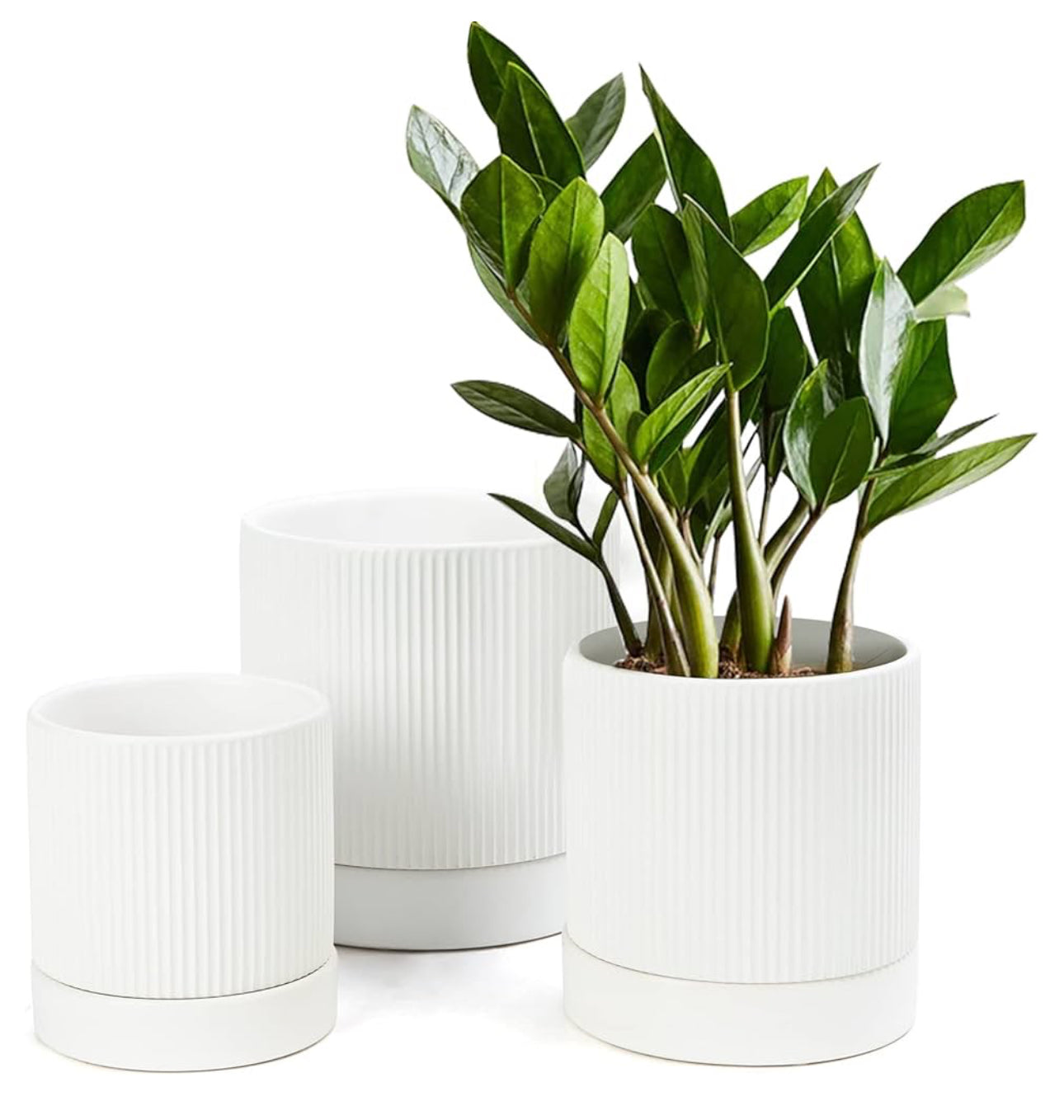 Ceramic White Pot