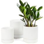 Ceramic White Pot