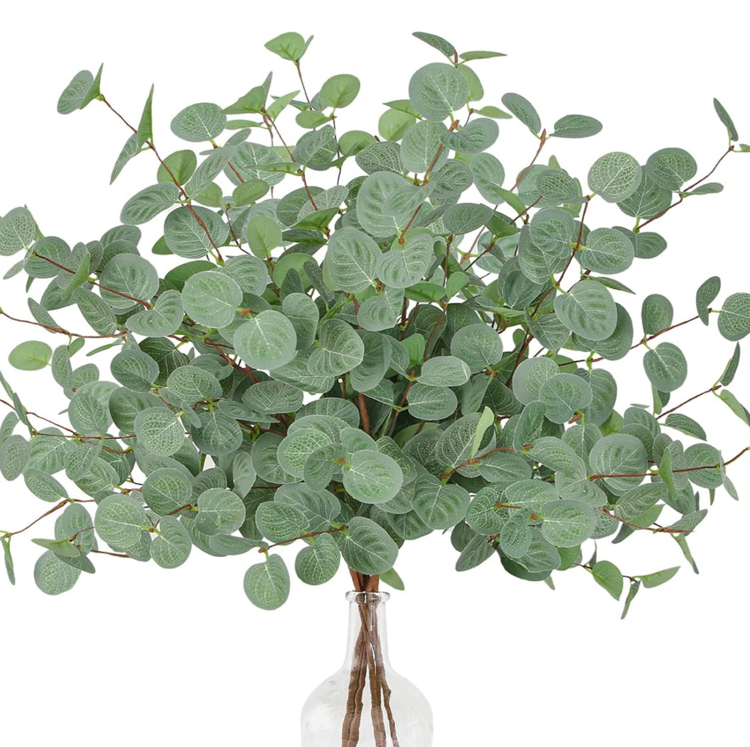 Eucalyptus stem