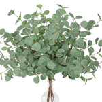 Eucalyptus stem