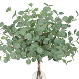 Eucalyptus stem